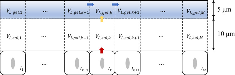 Fig 5