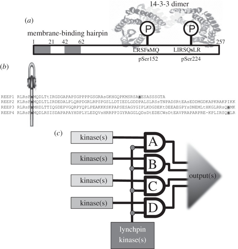 Figure 7.