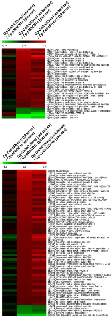 Fig. 4