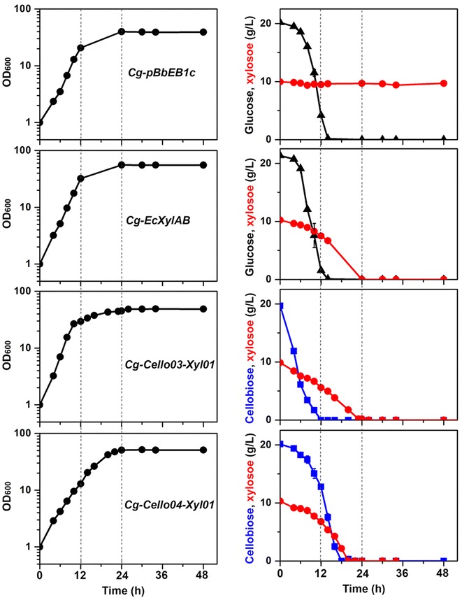 Fig. 6