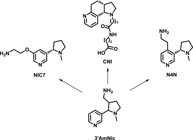 Fig. 9.