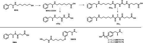 Fig. 10.