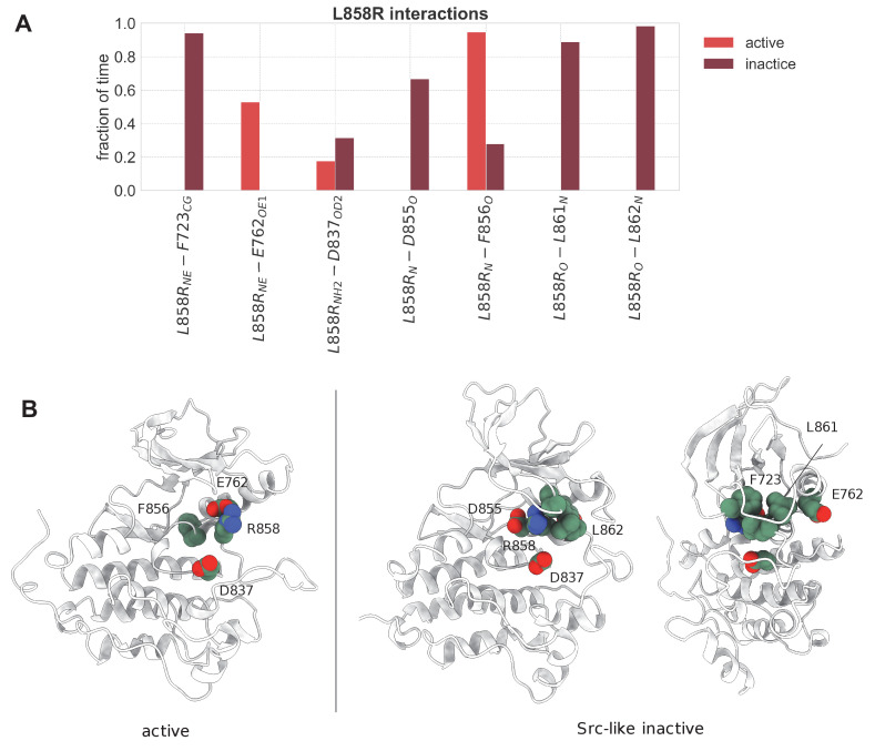 Figure 3—figure supplement 1.