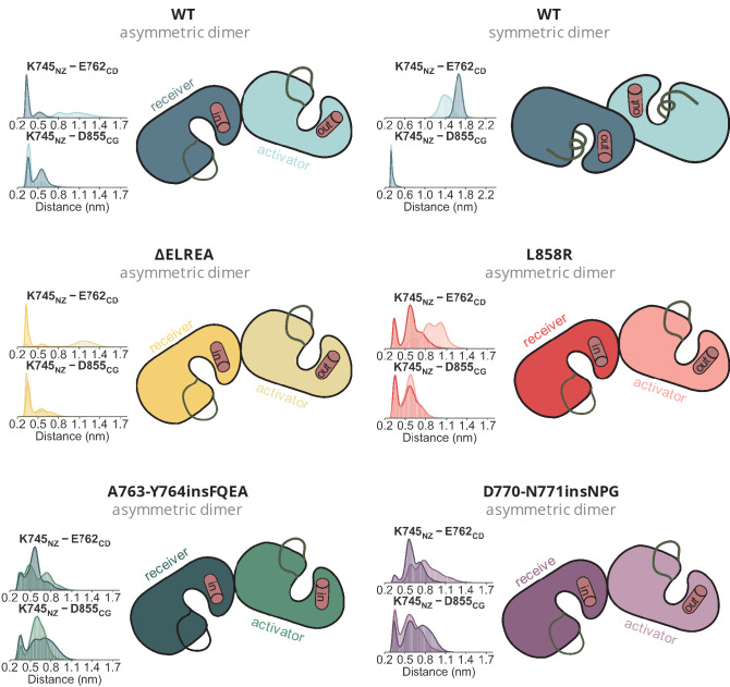 Figure 1—figure supplement 4.