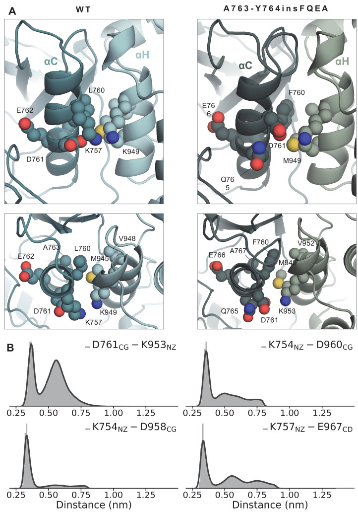 Figure 5—figure supplement 1.