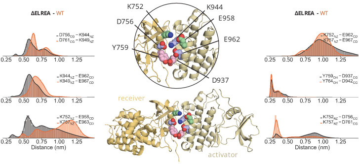 Figure 6—figure supplement 2.