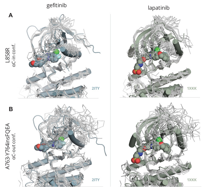 Figure 7—figure supplement 5.