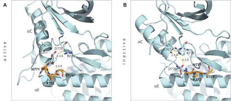 Figure 4—figure supplement 1.