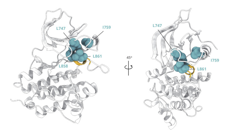 Figure 1—figure supplement 3.