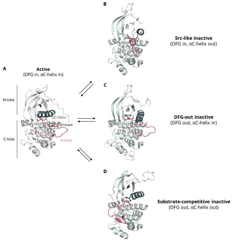 Figure 1—figure supplement 1.