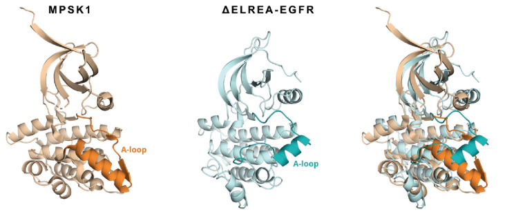 Figure 6—figure supplement 1.