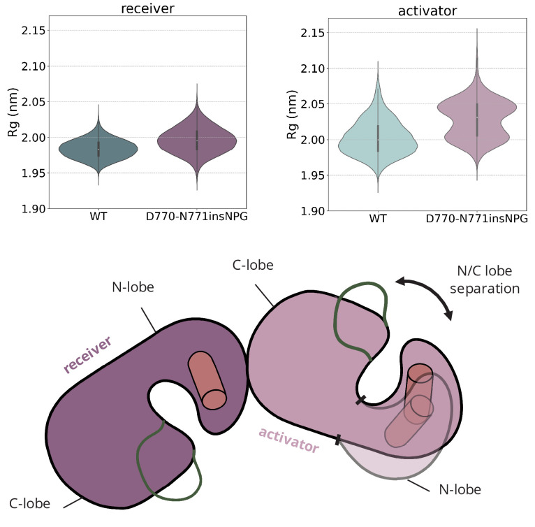 Figure 4—figure supplement 3.