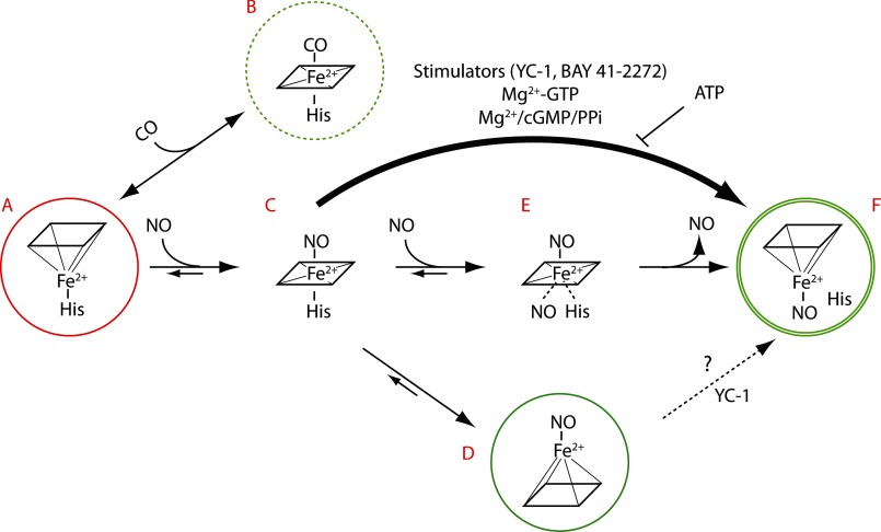 FIGURE 3.