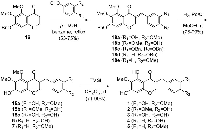 Scheme 2