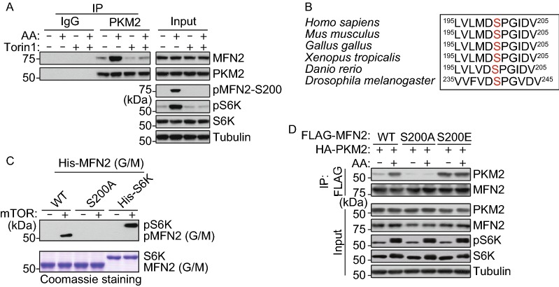 Figure 4