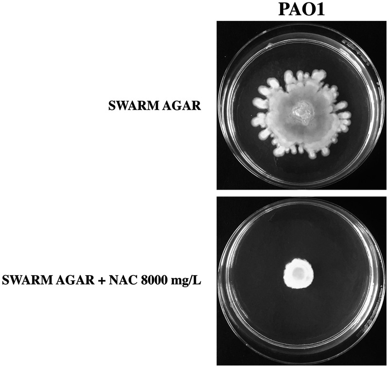 FIG 9