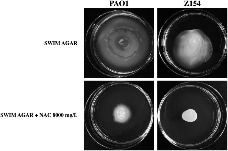 FIG 8