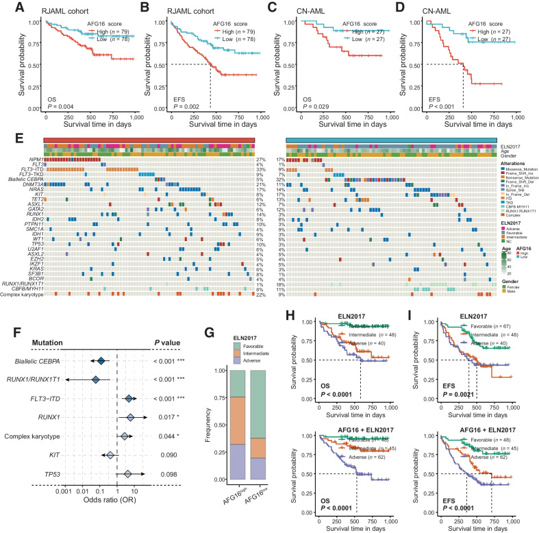 Figure 4. Validation of the prognostic value of the AFG16 score and its associated mutational landscape in the RJAML cohort. Kaplan–Meier estimates of OS (A) and EFS (B) according to the AFG16 score in the full RJAML cohort and in the subset of cytogenetically normal AML patients (C and D). E, Heatmap showing somatic mutations and clinical information between AFG16high and AFG16low patient groups in the RJAML cohort. F, Forest plot showing the mutations and cytogenetic abnormalities that differs in frequencies between AFG16high and AFG16low groups. G, Bar plot showing the distribution of ELN2017 risks in AFG16high and AFG16low patients with AML. Kaplan–Meier estimates of OS (H) and EFS (I) according to the risk categories of patients with AML in the ELN2017 and AFG16 plus ELN2017 schema.