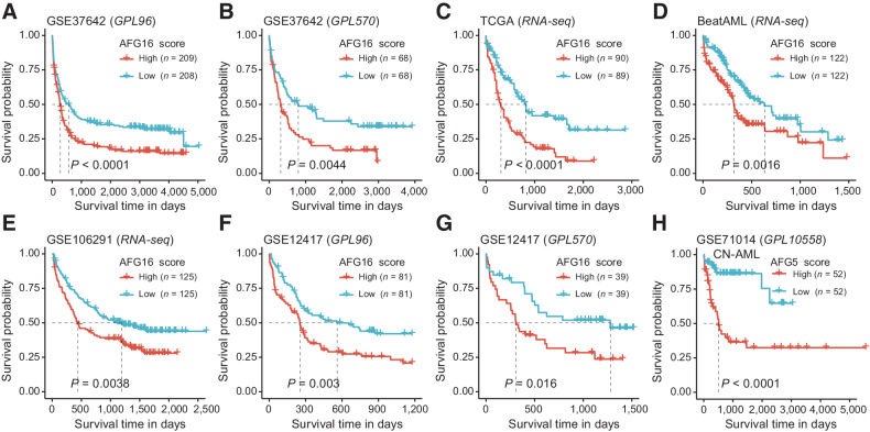 Figure 2. The AFG16 score is robustly associated with OS in multiple independent AML cohorts across distinct analysis platforms and in patient subsets with diverse genetic lesions. Kaplan–Meier estimates of OS according to the AFG16 score in the GSE37642 cohort quantified on GPL96 (A) and GPL570 (B) microarray platforms as well as in the RNA-seq–based cohorts TCGA (C), BeatAML (D), and GSE106291 (E). Kaplan–Meier estimates of OS according to the AFG16 score in the cytogenetically normal AML cohorts quantified on GPL96 (F) and GPL570 (G) platforms. H, Kaplan–Meier estimates of OS according to the AFG5 score in the GSE71014 cohort quantified on GPL10558 microarray platform. Red and blue lines represent OS of patients with prognostic scores above and below the median cutoff, respectively.