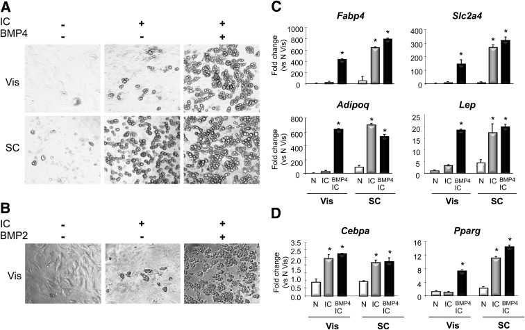 FIG. 2.