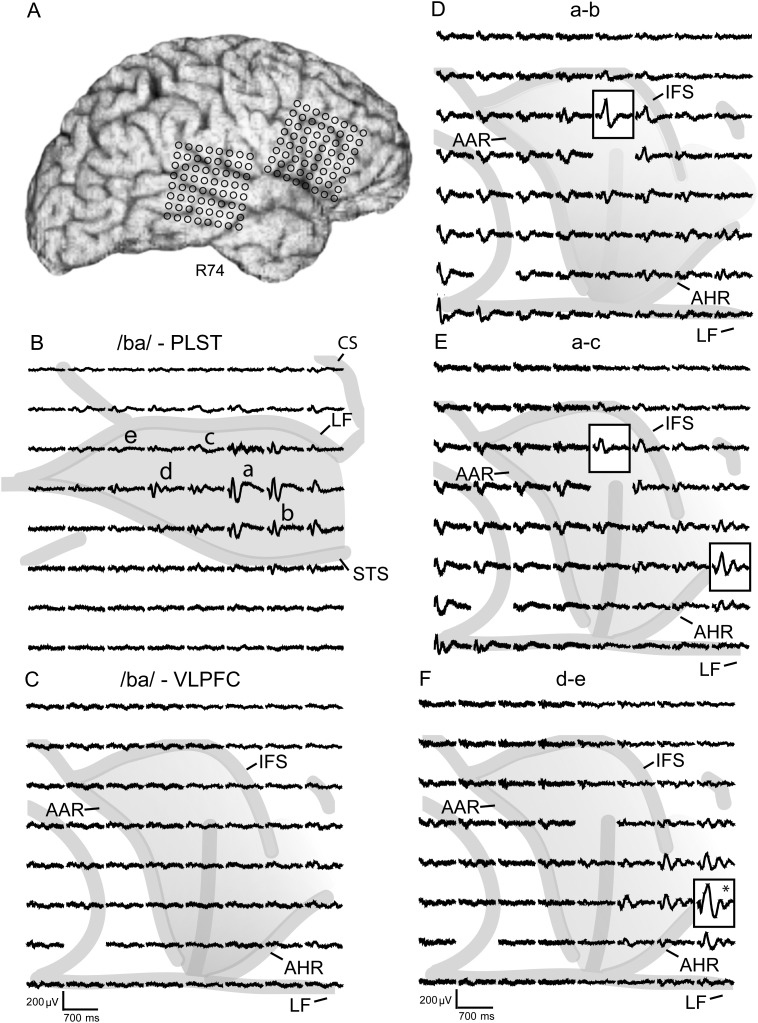 Figure 2.