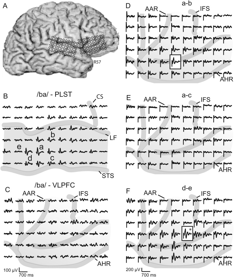 Figure 1.