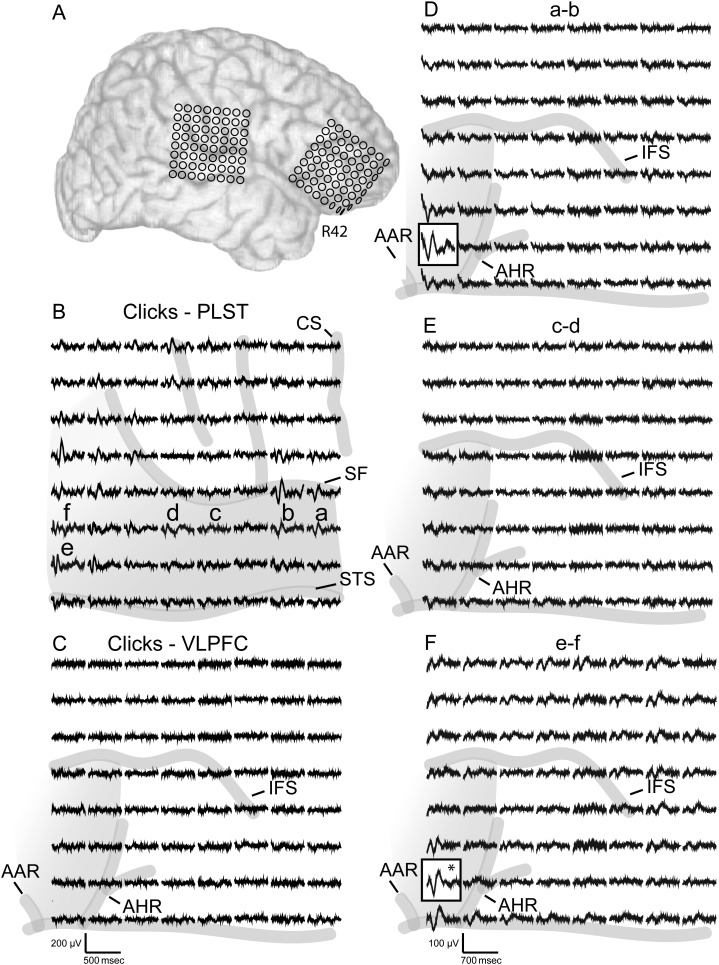 Figure 3.