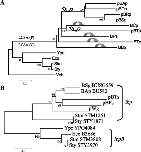 FIG. 2.