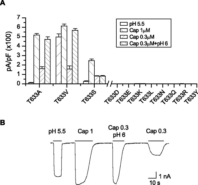 Figure 6.