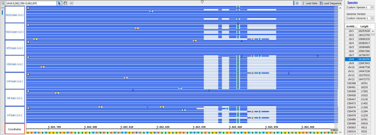 FIGURE 4