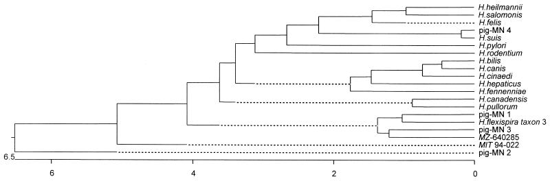 FIG. 3