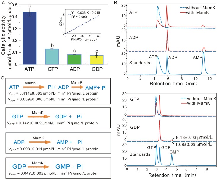 Figure 2