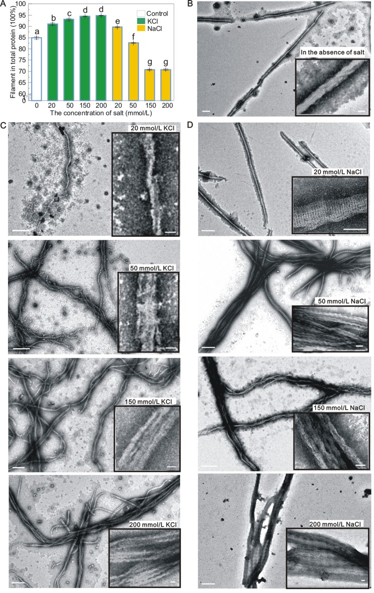 Figure 5