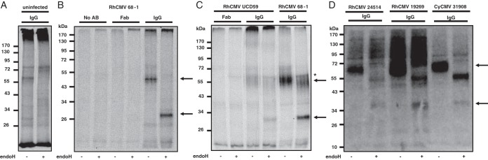 FIG 1