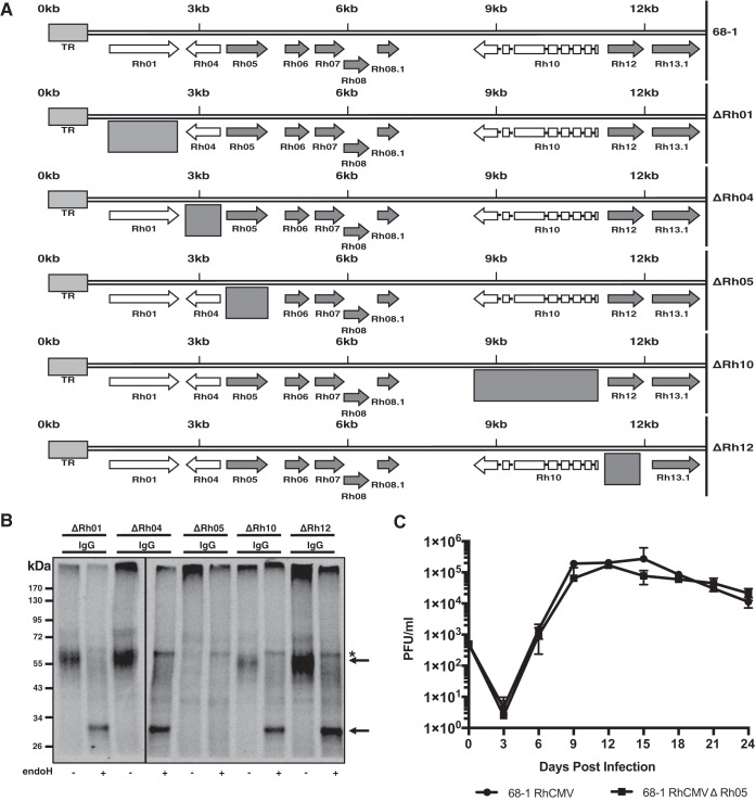 FIG 3