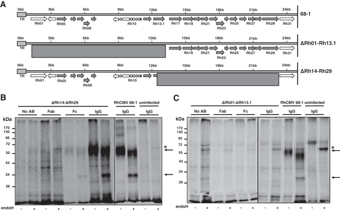 FIG 2