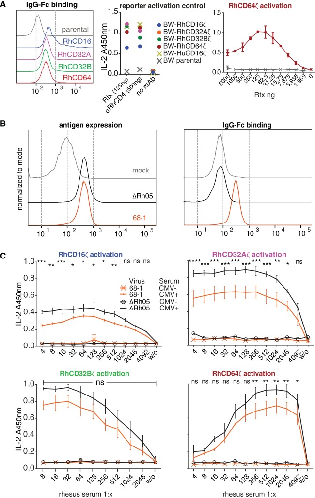 FIG 6