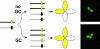 Fig. 5.