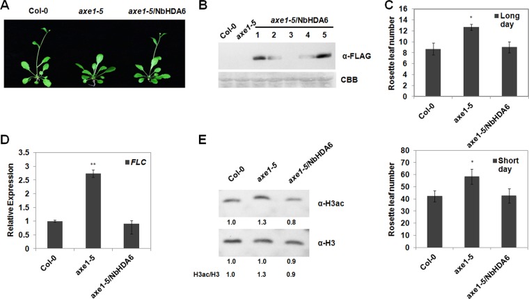 FIG 3