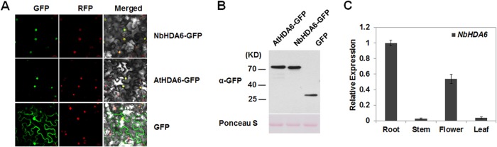 FIG 2