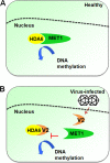 FIG 8