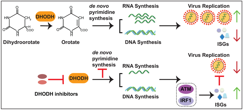 Figure 10.