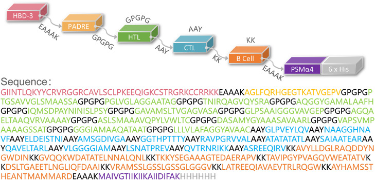 Figure 1