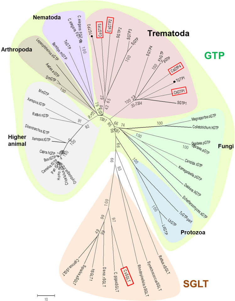 Fig 4