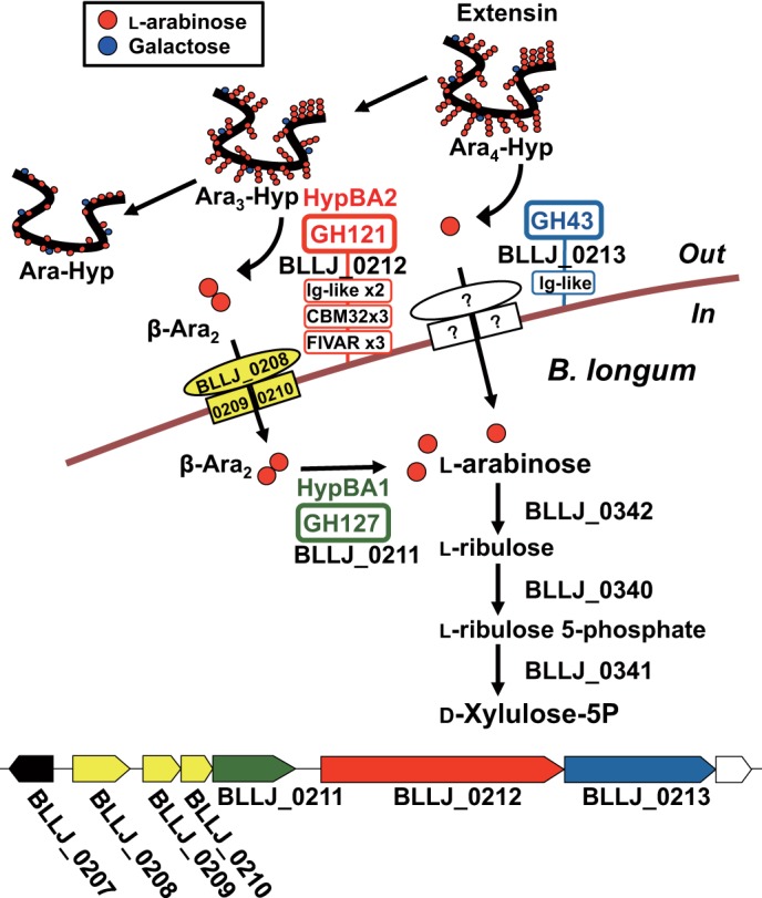 FIGURE 15.