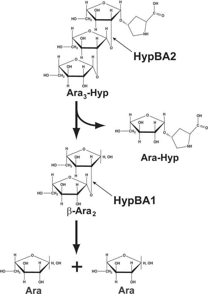 FIGURE 14.