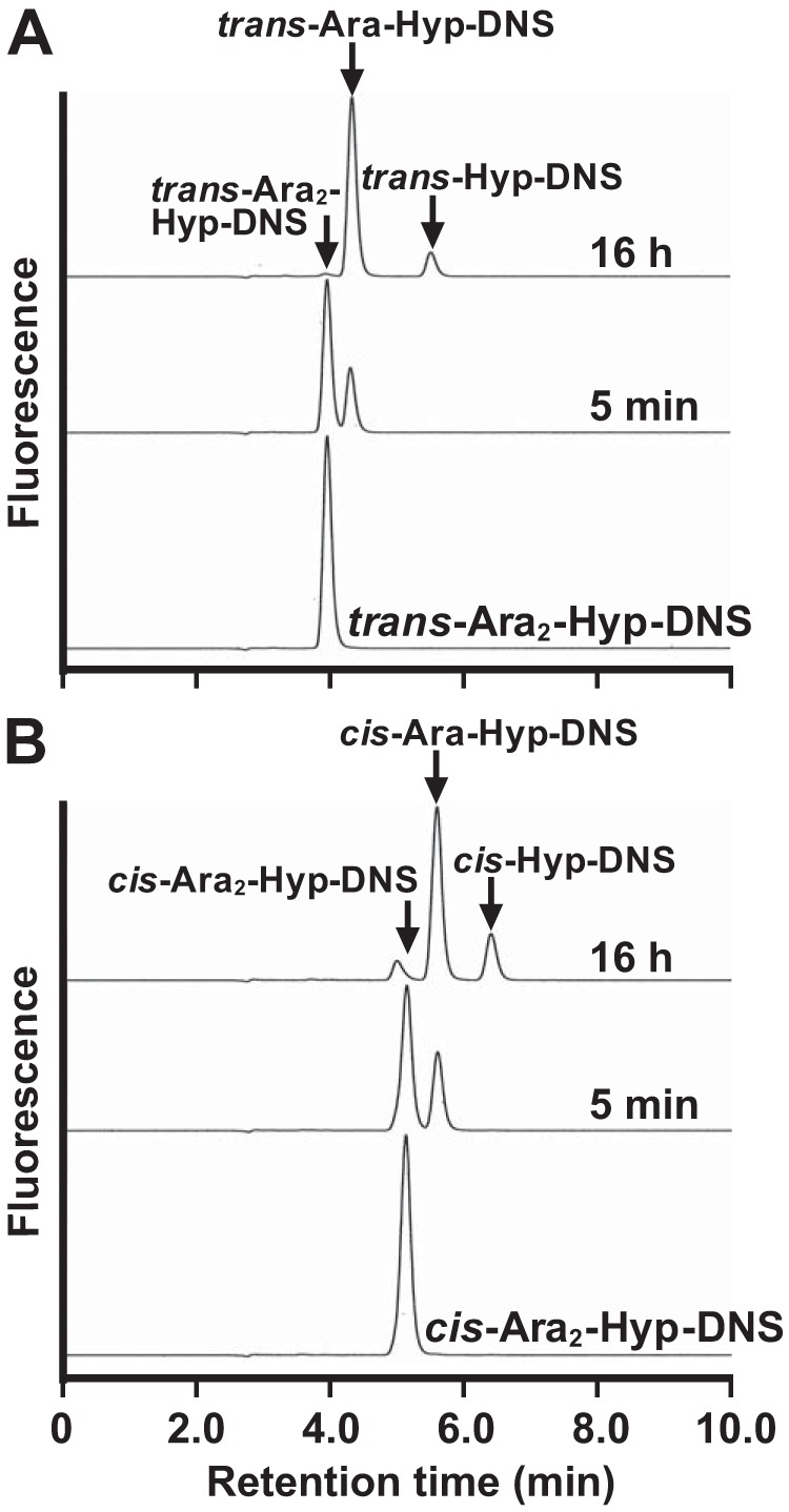 FIGURE 7.