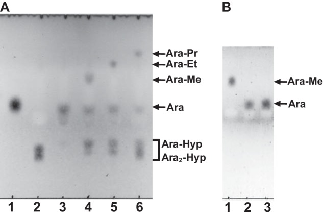 FIGURE 9.