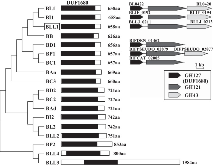 FIGURE 11.