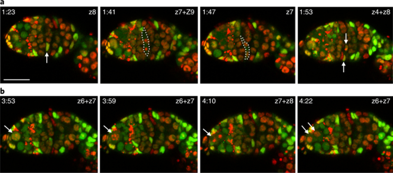 Fig. 3: